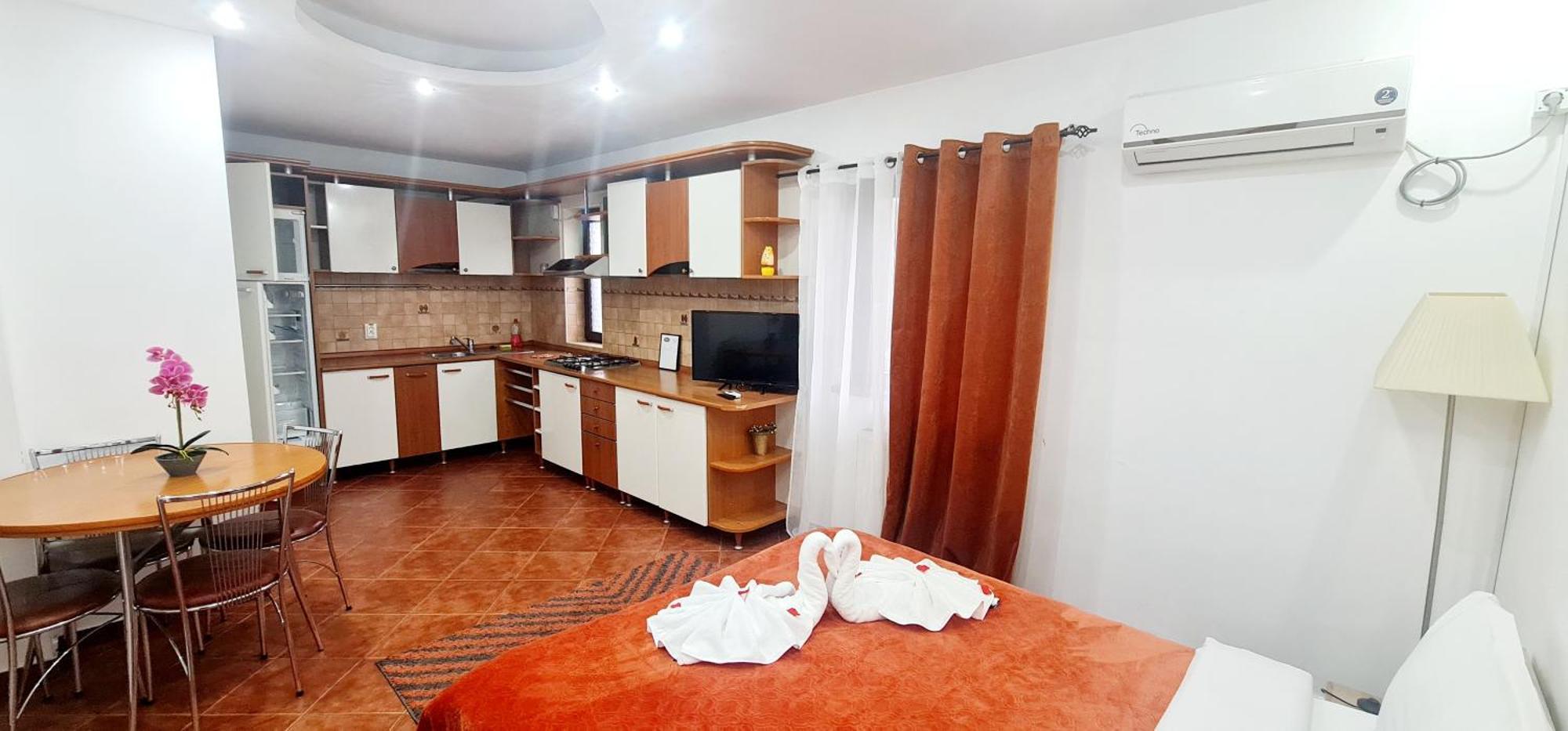 Pensiunea Red Rose Apartments Timişoara Exterior foto
